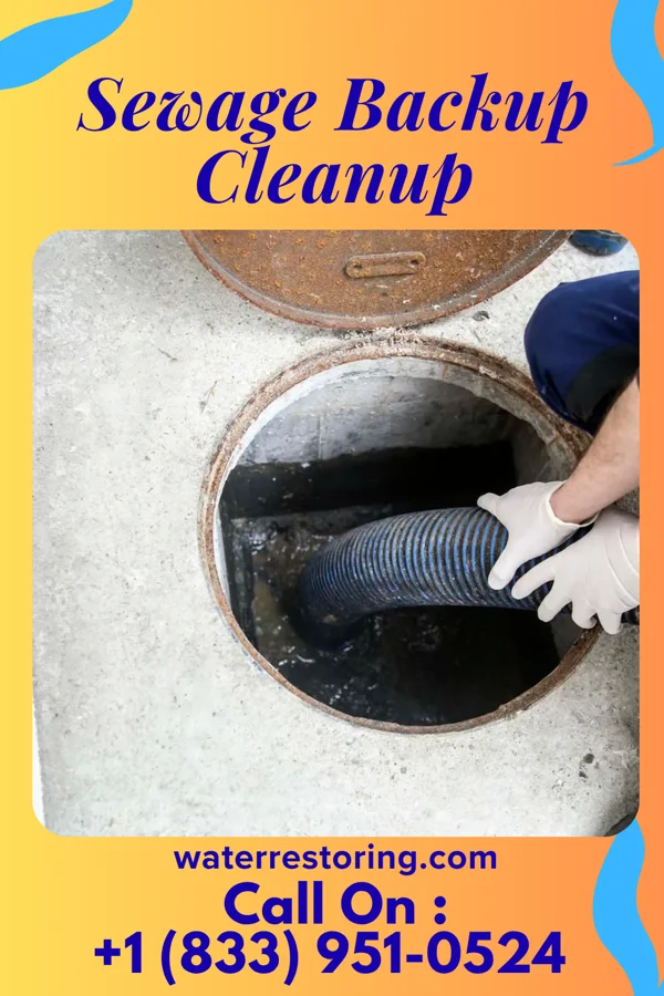 Sewage Backup Cleanup in Naval Academy, MD